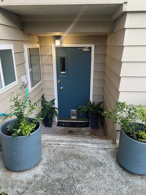 A front door with a blue door, a small window, and a mailbox. There are two large potted plants on either side of the door. - Spacious Two Bedroom, WD in Unit Fireplace, Pet Friendly, Near Shopping (Shoreline)