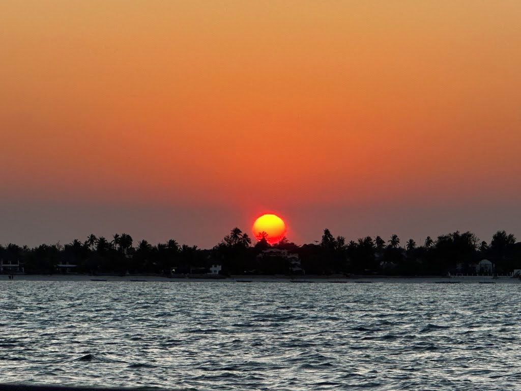 A sunset over a body of water with a silhouette of palm trees and buildings in the background.