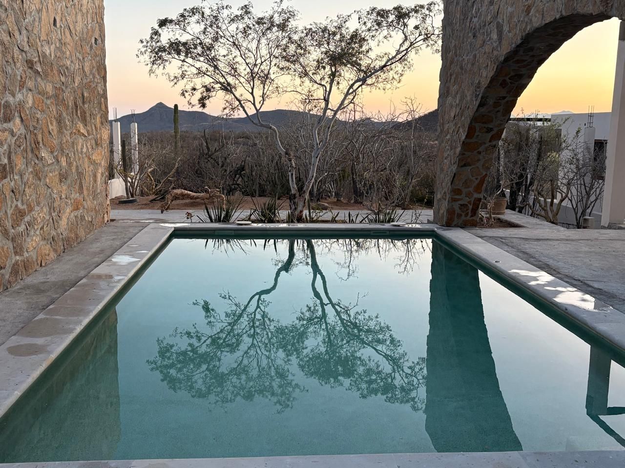 A swimming pool with a clear reflection of trees and a mountain in the background.