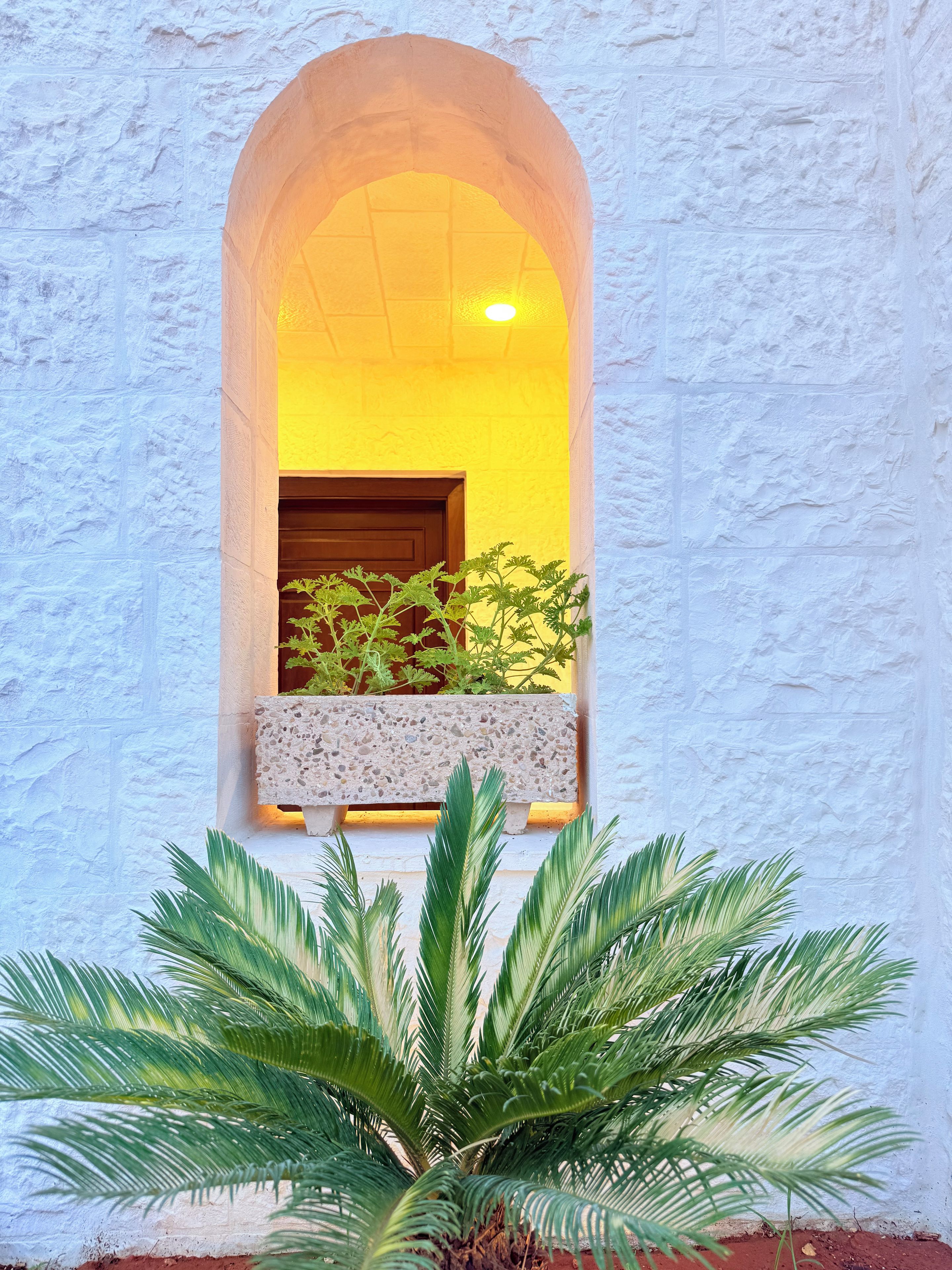 A white textured wall with a window featuring a plant and a door.