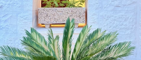 A white textured wall with a window featuring a plant and a door.