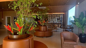 Bar (a l'allotjament)
