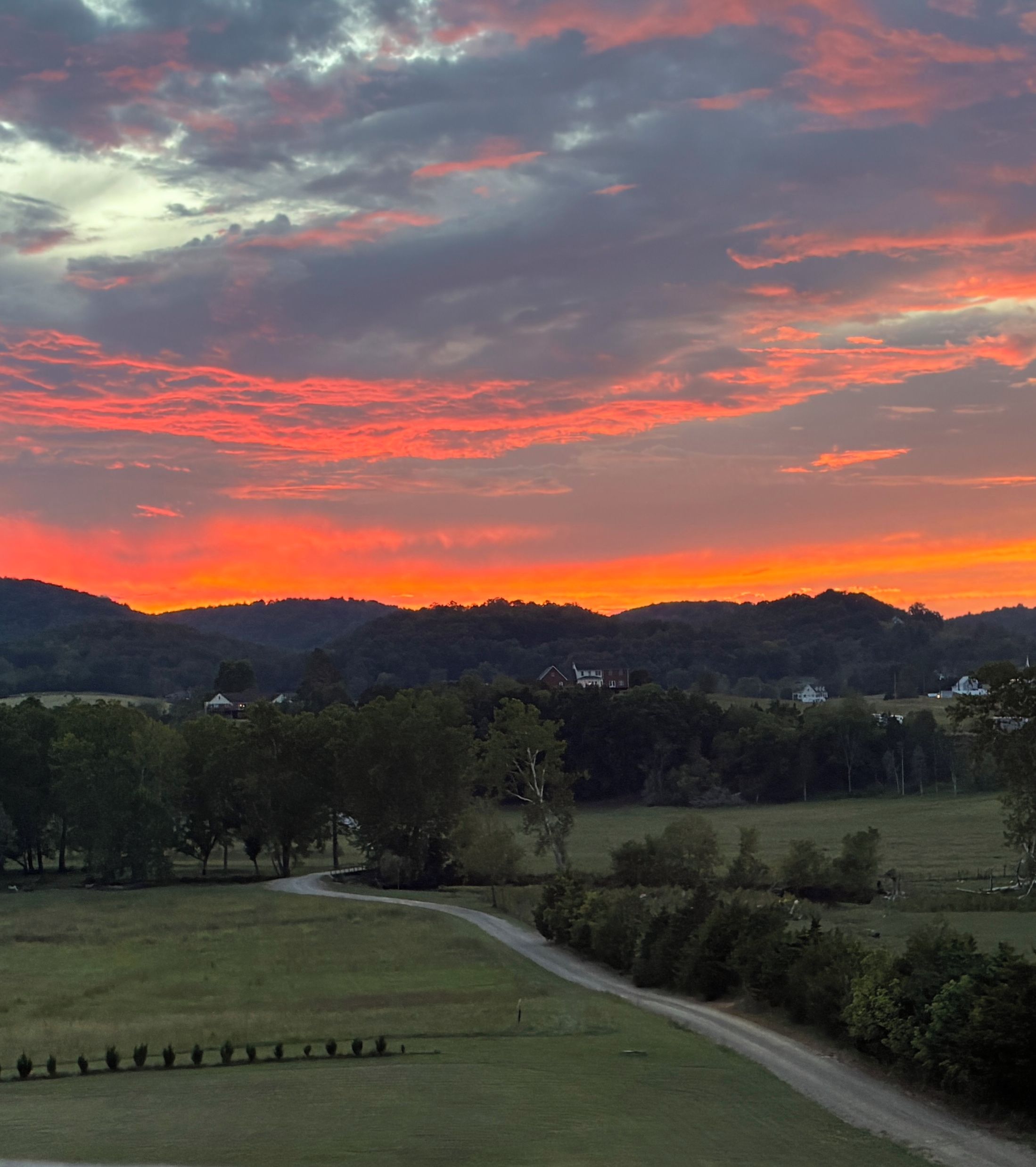 A rural landscape with a winding road, trees, and a hill with buildings in the distance.