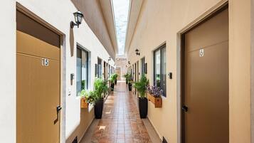 A corridor with doors numbered 15 and 6, flanked by potted plants and equipped with wall-mounted lamps.