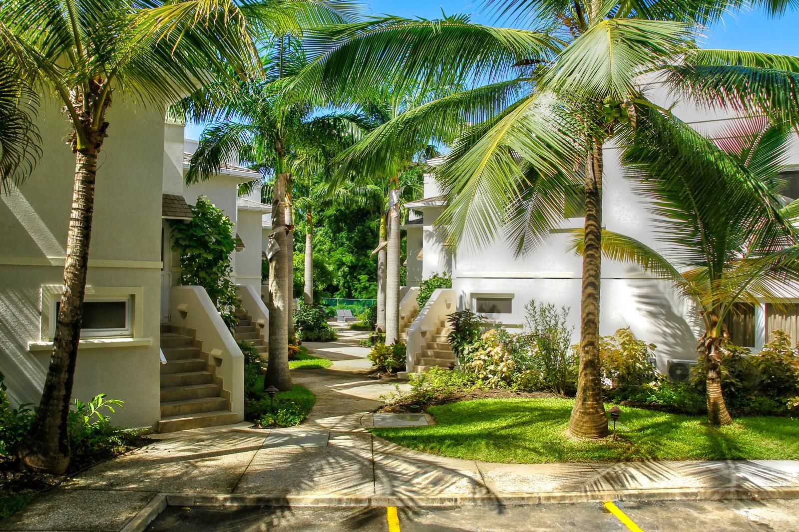 A pathway flanked by palm trees leading to a building with a staircase.