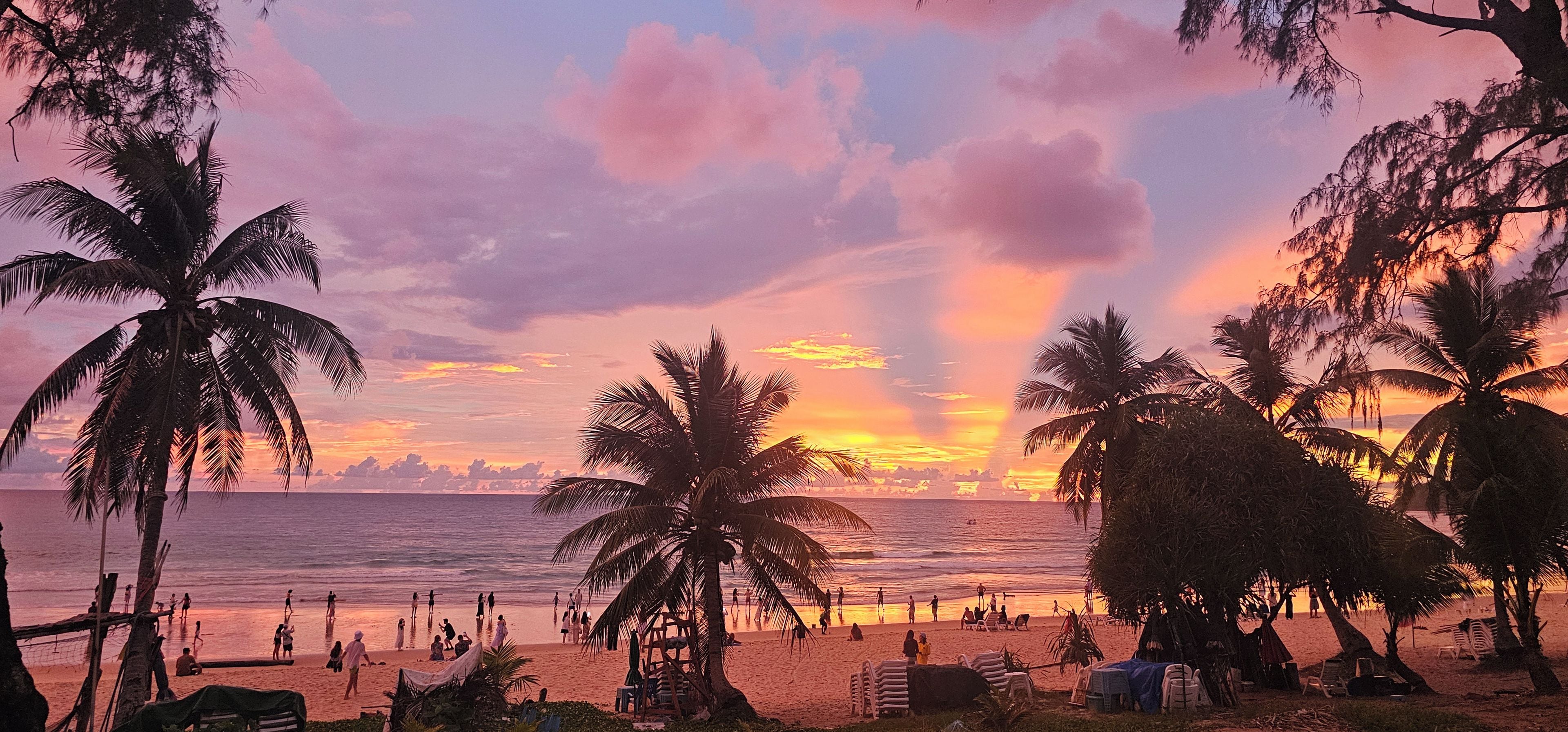 Una playa con palmeras y un atardecer.