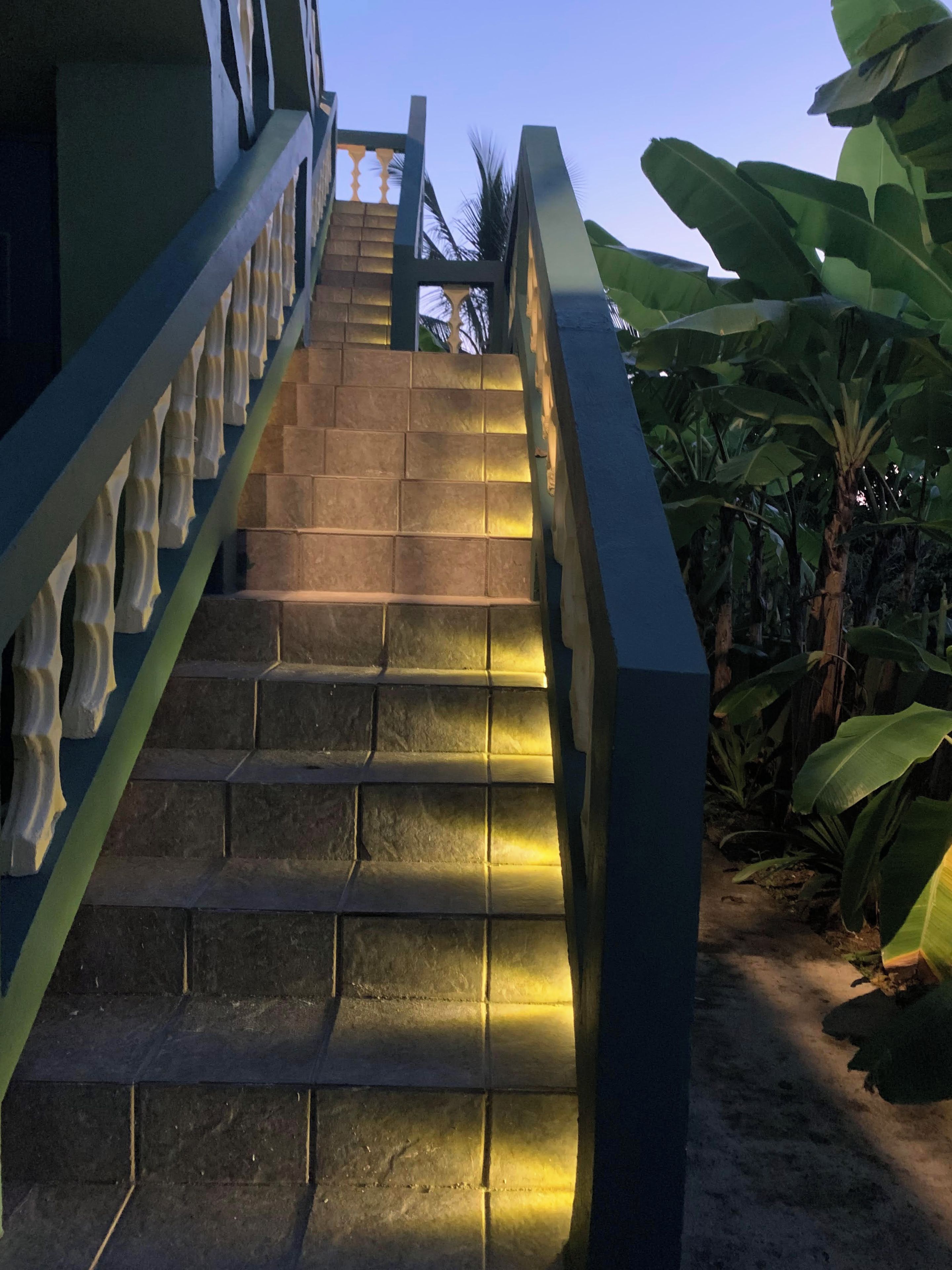 Eine Treppe mit Handlauf, die zu einem Hauseingang führt.