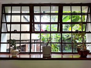 A window with a grid pattern, three potted plants on a sill, and a view of greenery outside. - Casa Muntú - La Candelaria (Bogotá)