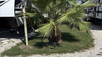 En palm framför en vit husbil med ordet ”SKYL” på.