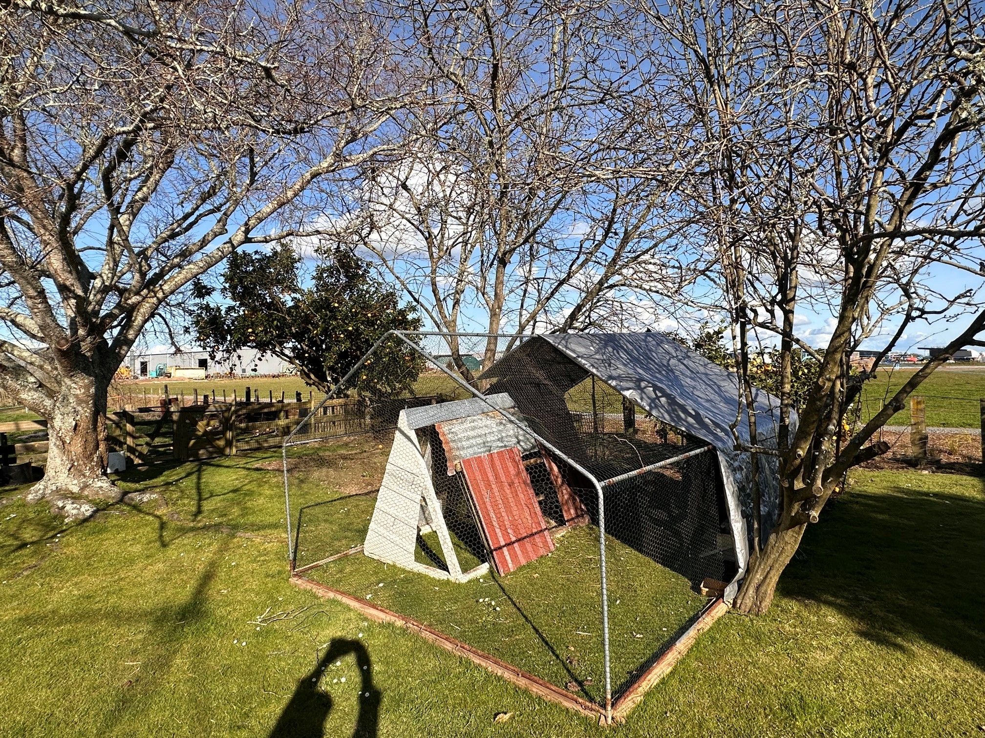 A fenced outdoor area with a small structure, possibly a shed or a tent, surrounded by trees and grass.
