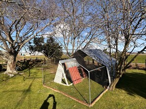 A fenced outdoor area with a small structure, possibly a shed or a tent, surrounded by trees and grass.