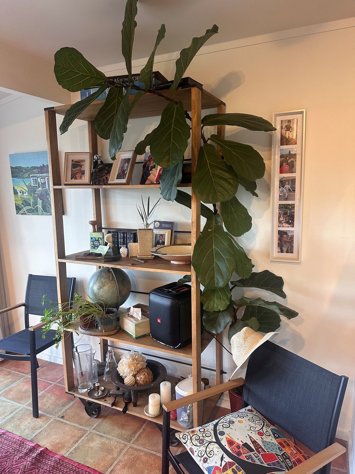 Une bibliothèque en bois à plusieurs niveaux, ornée de grandes feuilles vertes, de divers objets décoratifs et de tableaux encadrés accrochés au mur.