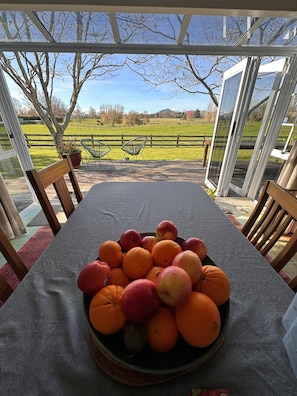 Taula amb un plat de fruita, cadires i vista a un prat i arbres.