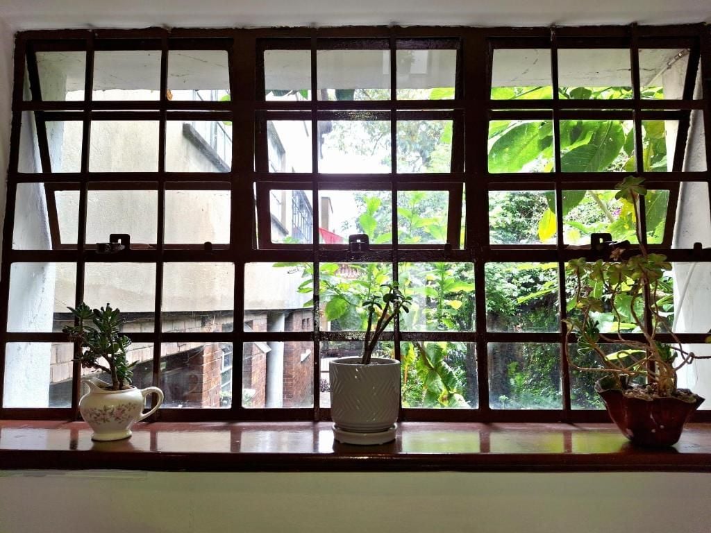 Une fenêtre à carreaux, trois plantes en pot posées sur le rebord, et une vue sur la verdure à l’extérieur.