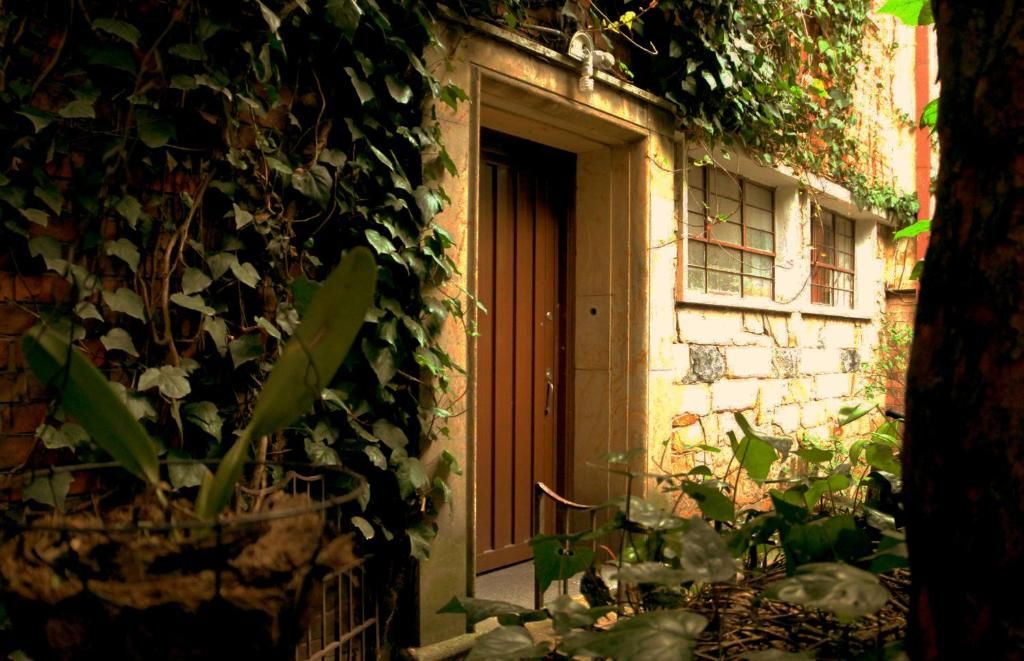 Un callejón estrecho con una puerta que da a un edificio, rodeado de follaje denso.