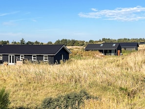 A row of modern, dark-colored houses with flat roofs, surrounded by tall grass and trees under a clear sky. - 8 Person Holiday Home in Hirtshals (Hirtshals)