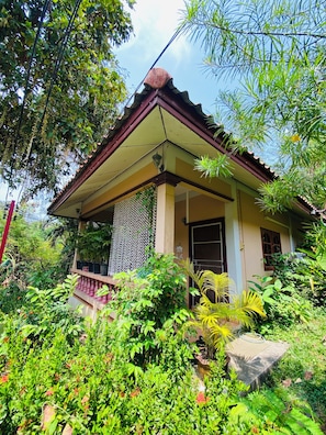 A house with a porch, surrounded by dense greenery.
