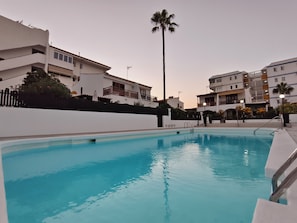 Une piscine offrant une vue dégagée sur les bâtiments voisins et agrémentée d’un palmier.