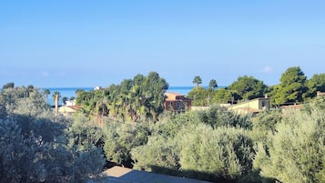 Una zona residencial costera con casas, abundante vegetación y vista despejada al mar.