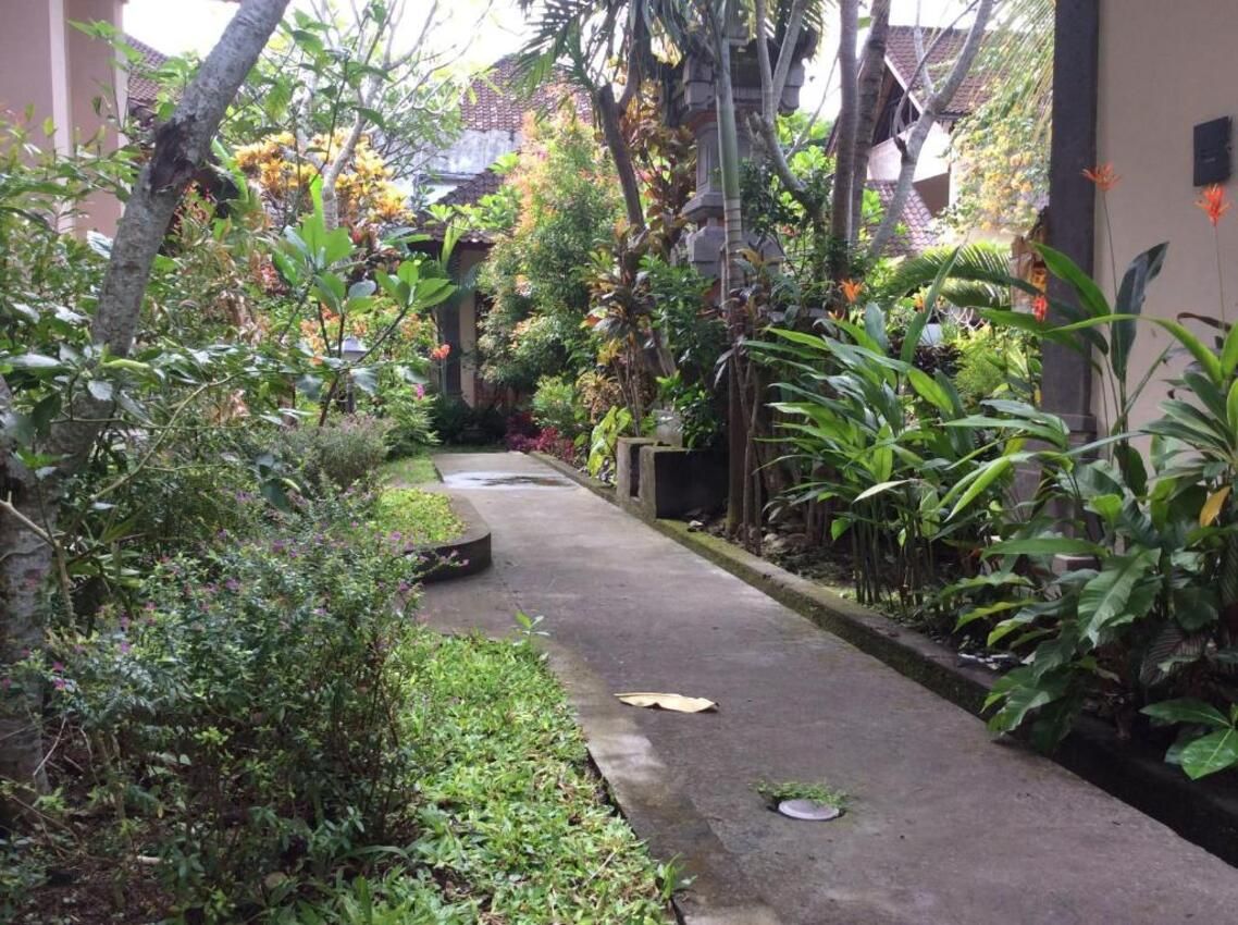 A narrow concrete pathway flanked by lush greenery and tropical plants.