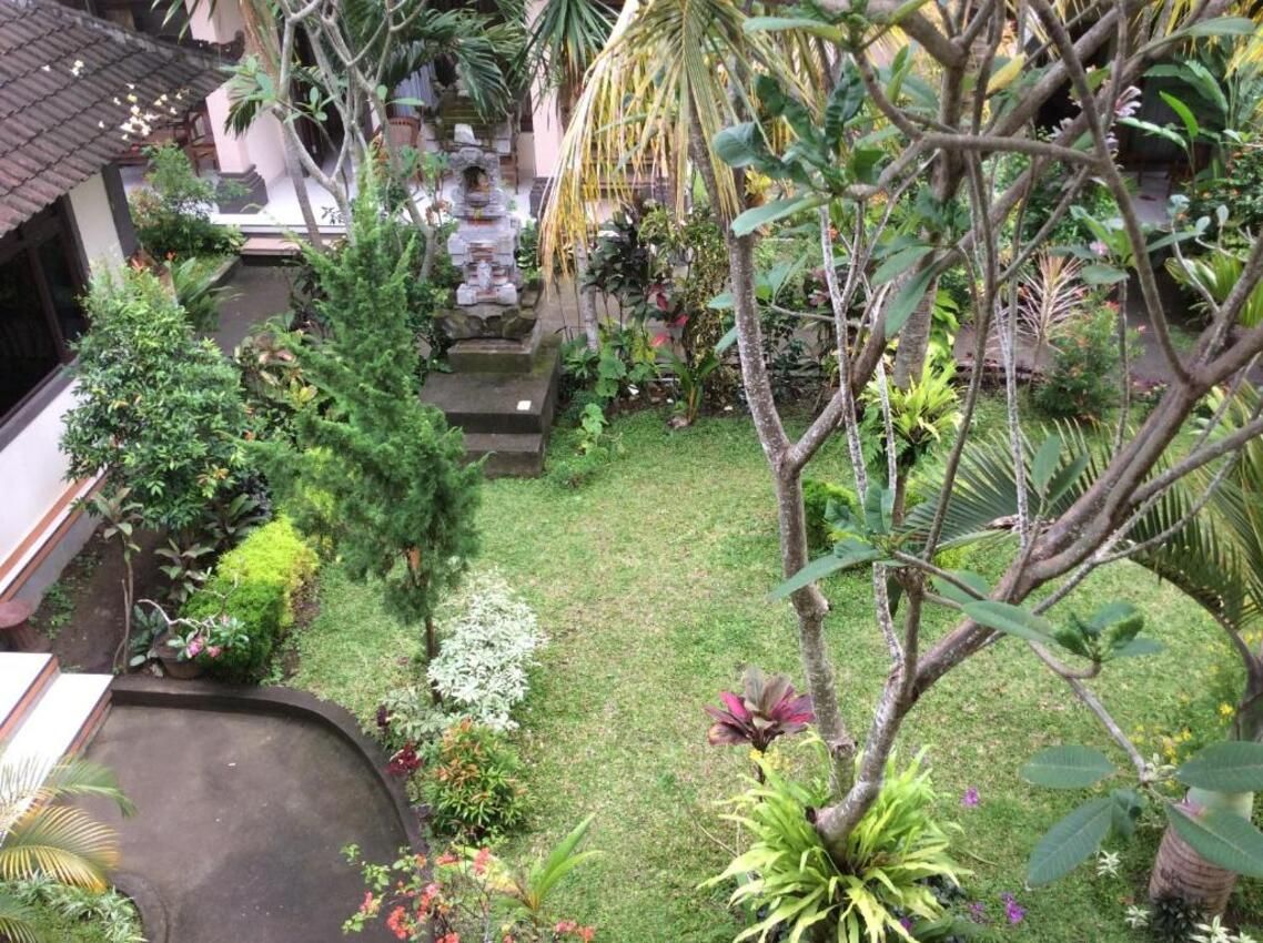 A garden with a variety of plants and a small pond.