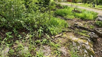 A natural landscape with a stone pathway leading to a rustic structure.