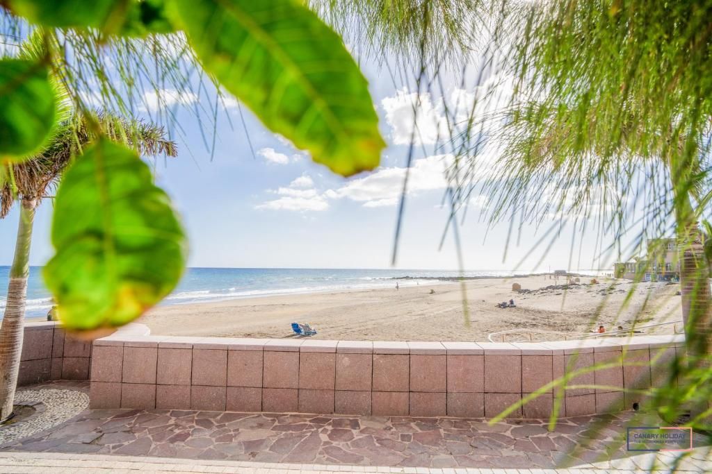 Vista sulla spiaggia con cielo sereno, palme e un viale lastricato che conduce alla riva.