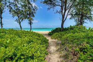 A pathway leading to a beach with dense greenery on either side. - Monthly Stays! Waimanalo Beach Cottages, Unit 1 (Waimanalo)