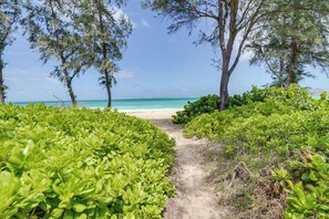 Ein Weg, der zu einem Strand führt, gesäumt von üppigem Grün.