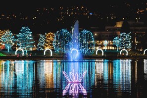 Nachtsicht auf ein Gewässer mit beleuchteten Bäumen und einem Brunnen.