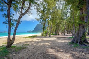 Ein Strand mit Bäumen und freiem Blick auf den Ozean.
