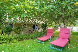 A house with a lawn, two red lounge chairs, and a tree with green leaves. - Waimanalo Beach Cottages - Large Studio, Unit 4 (Waimanalo)
