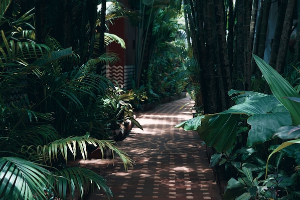A pathway surrounded by dense foliage and a brick wall. - Khubani Resort (Ashvem)