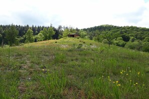 A rural landscape with a wooden structure on a hill, surrounded by greenery and trees. - Holiday home with 1 bedroom (Elmstein \/ Iggelbach)