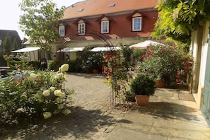 A courtyard with a paved walkway, potted plants, and a building with a red roof and white window frames. - Holiday apartment with 1 bedroom (Freinsheim)