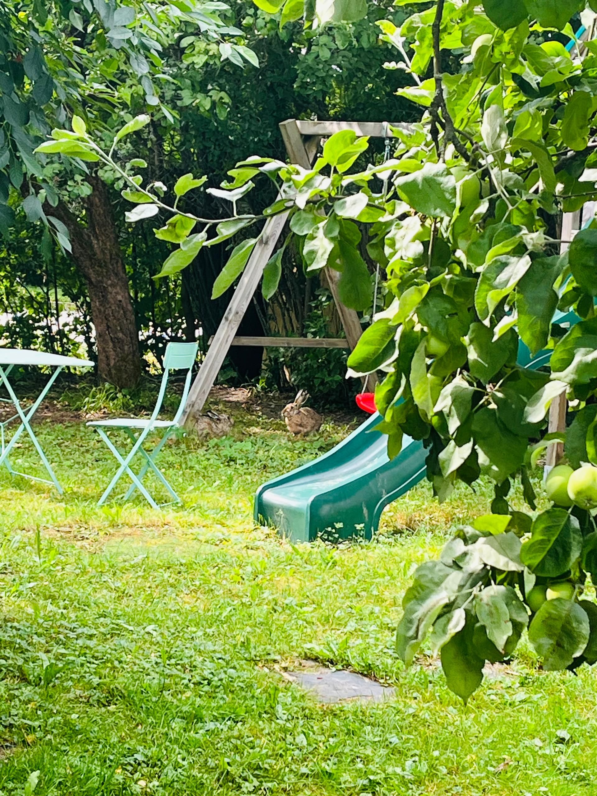 A playground with a slide, a swing set, and a tree.