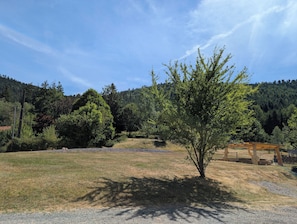 Eine Rasenfläche mit einem kleinen Baum und einer Holzkonstruktion.