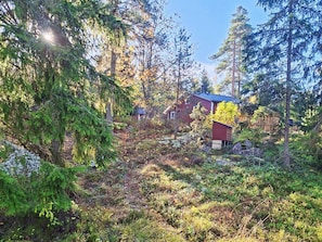 Eine Hütte, umgeben von dichtem Wald, unter blauem Himmel.
