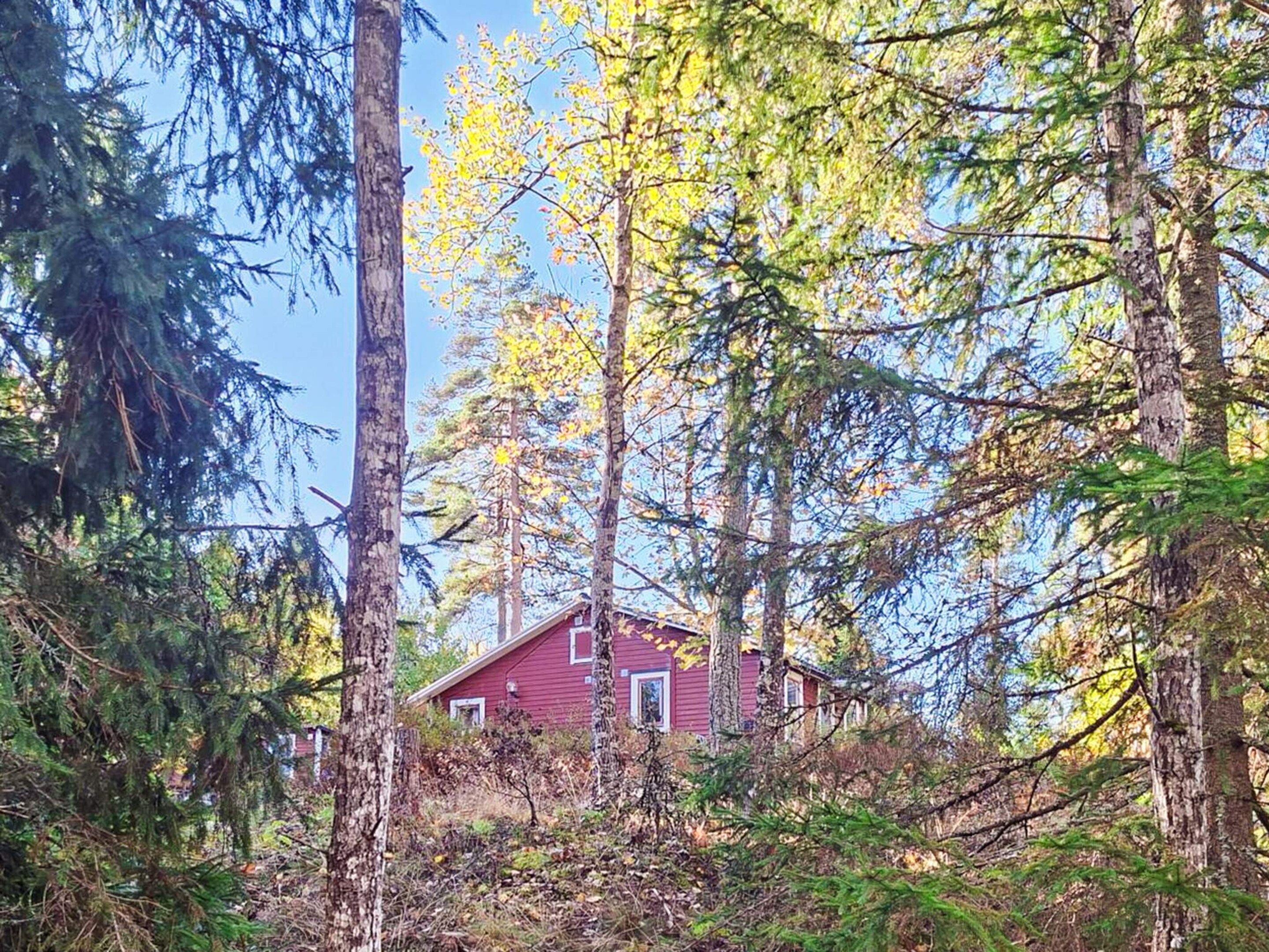 A house surrounded by tall trees with a clear sky above.