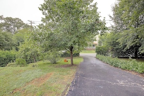 A paved driveway flanked by lush greenery and trees, leading to a residential area. - Spa Creek Cottage – Walk to Downtown Annapolis (Annapolis)