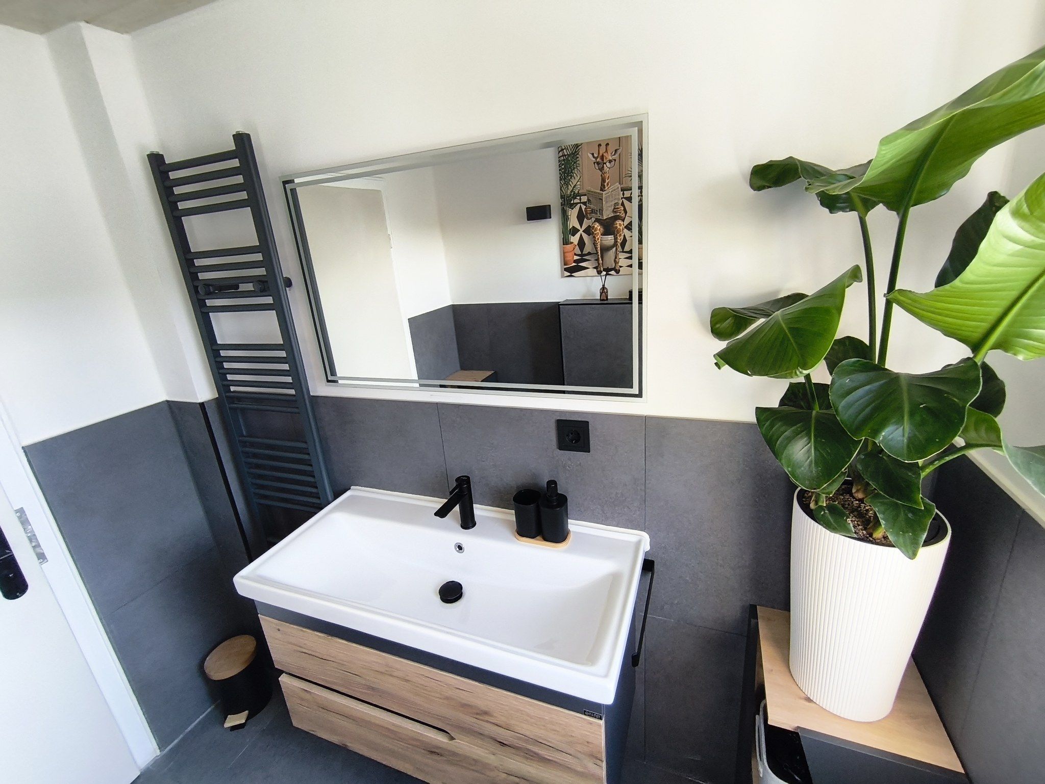 A bathroom with a white sink, dark gray walls, a wooden cabinet, a black towel rack, a mirror, and a large green plant.