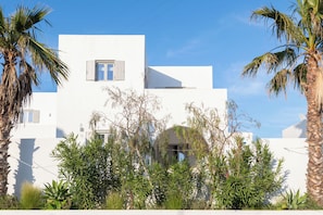 A modern white building with a flat roof, a small window, and surrounded by lush greenery including palm trees and various shrubs. - Paros villa with private pool, steps from the sea & traditional village in Aliki (Aliki - Paros)