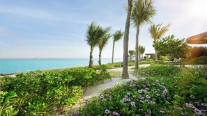 A pathway leading to a beach with palm trees and purple flowers.