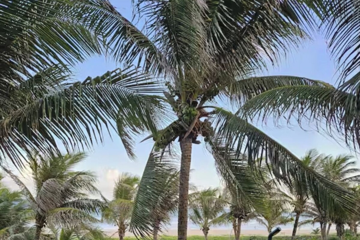 Casa Deluxe, vista a la playa