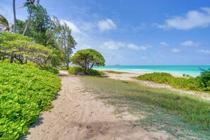 Ein sandiger Strandweg führt zum Meer, umgeben von üppigem Grün und wolkenlosem, blauem Himmel.