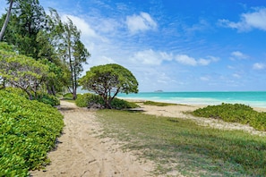 A sandy path leading to a beach with lush greenery and a clear blue sky. - Walk to Shore: Waimanalo Beach Cottages, Unit 3 (Waimanalo)