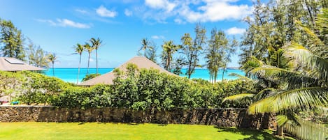 A grassy area with a stone wall, palm trees, and a view of the ocean.