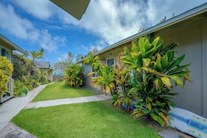 A residential area with a well-maintained lawn, a pathway leading to a building, and tropical plants. - Waimanalo Beach Cottages - Large Studio, Unit 4 (Waimanalo)