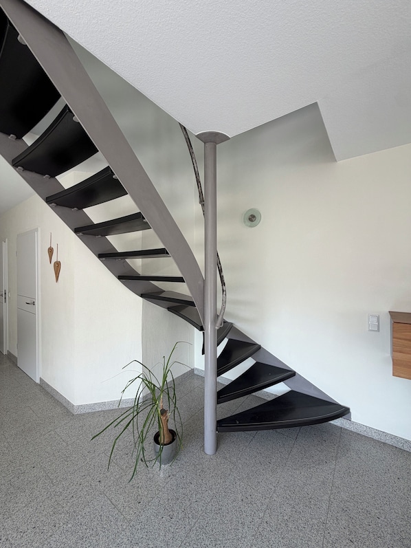 Un intérieur moderne avec un escalier en colimaçon, une plante en pot et une porte.
