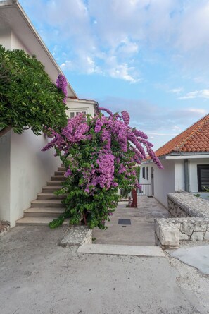 Unes escales condueixen a un edifici amb teulada enrajolada, envoltat de vegetació i flors morades.